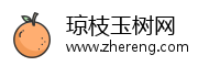 琼枝玉树网
